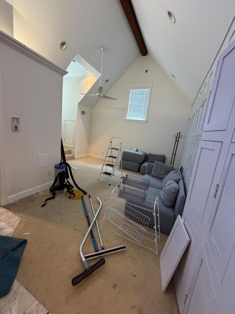 Spare room, cleared and reset — before cleaning