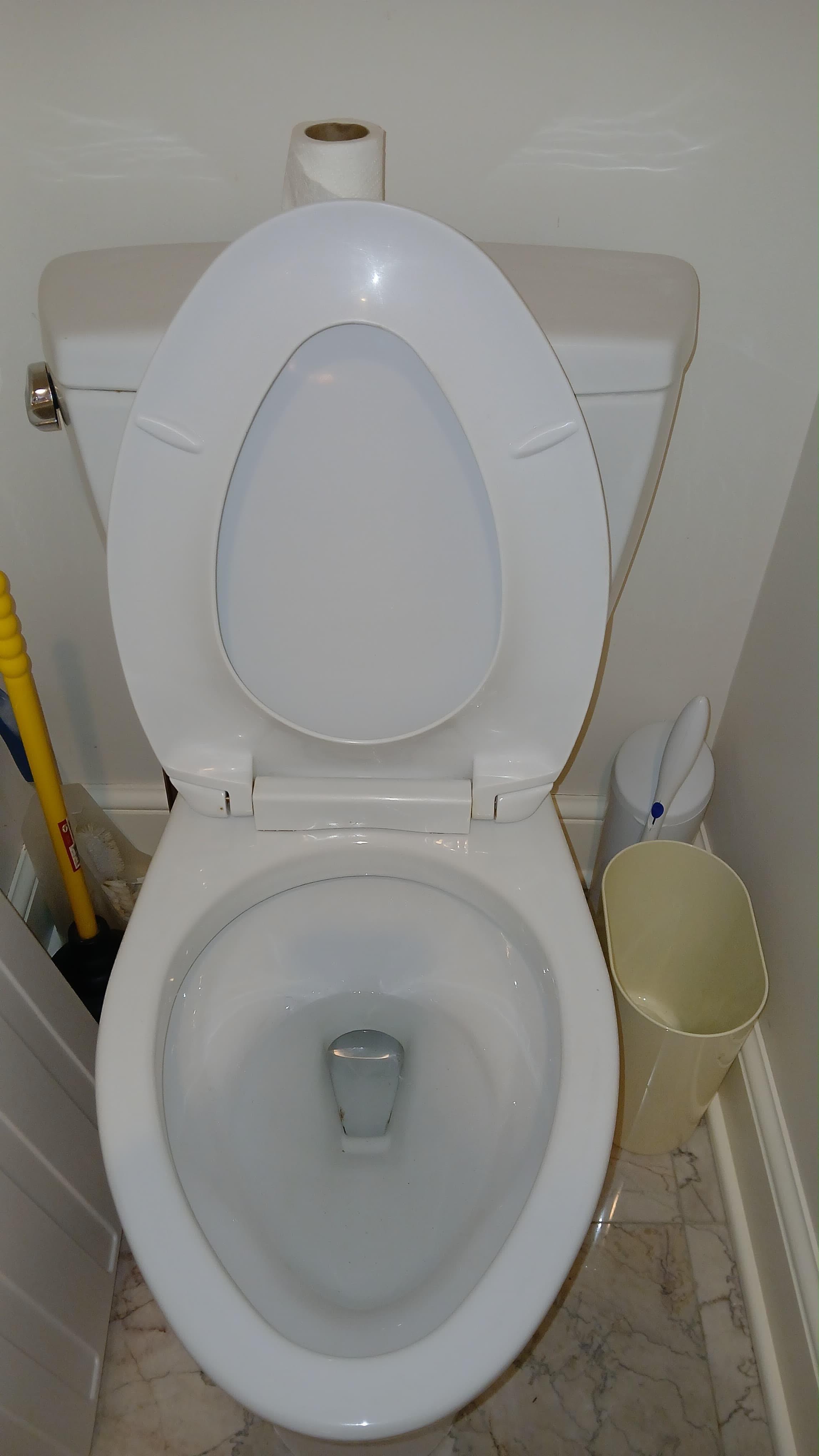 Toilet, descaled — after cleaning