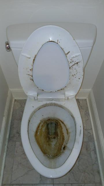 Toilet, descaled — before cleaning