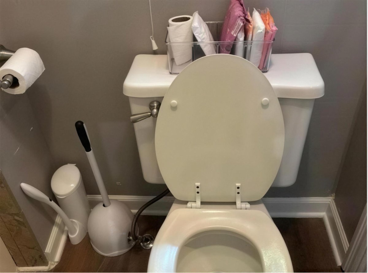 Toilet, descaled — after cleaning