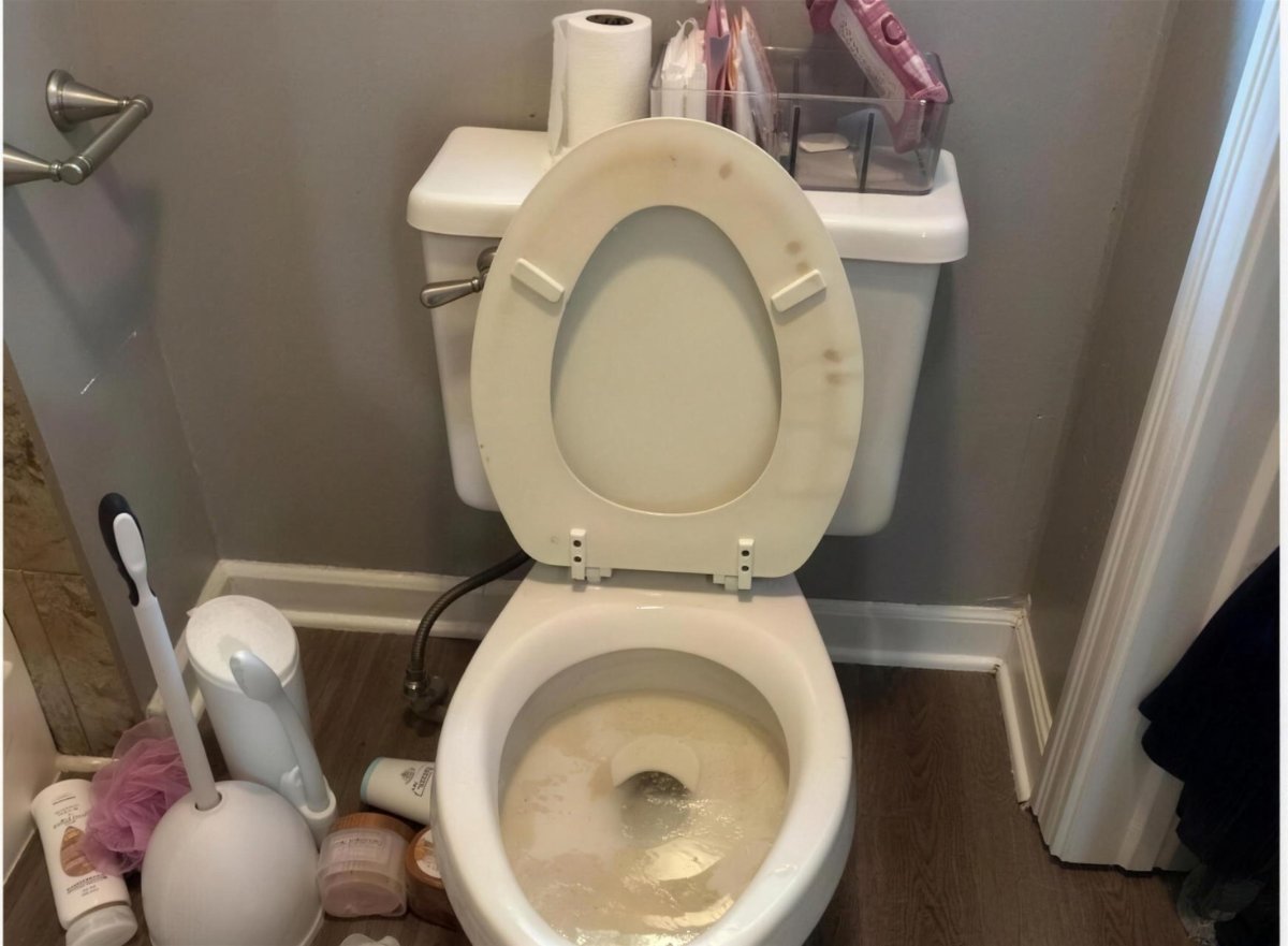 Toilet, descaled — before cleaning